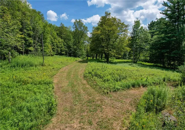 Homes for sale in Middletown, NY | 0 Red Kill Rd, Middletown, NY 12430 | MLS# R1666101