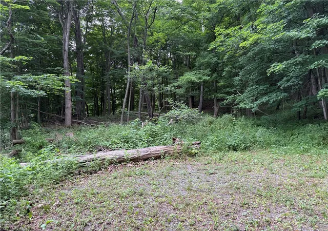 Homes for sale in Potter, NY | 1592 Emerson Rd, Potter, NY 14507 | MLS# R1666870