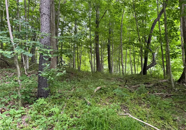 Homes for sale in Potter, NY | 1592 Emerson Rd, Potter, NY 14507 | MLS# R1666870