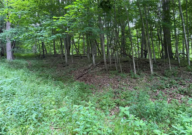 Homes for sale in Potter, NY | 1592 Emerson Rd, Potter, NY 14507 | MLS# R1666870