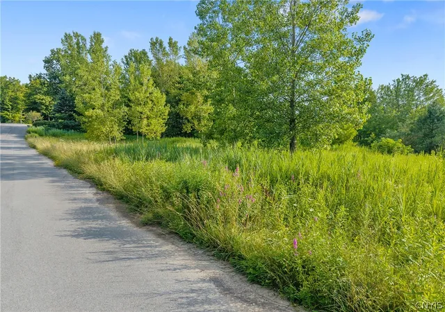 Homes for sale in Minetto, NY | Obrien Glenway, Minetto, NY 13126 | MLS# S1667017