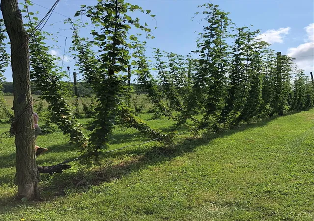1st image of 168 Watson Creek Rd, Lindley, NY 14858 | MLS# R1667317