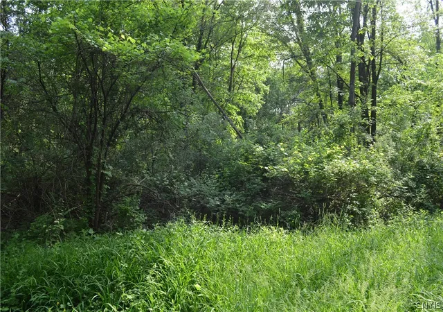 1st image of 9 Cedar Dr, Bethlehem, NY 12205 | MLS# S1667375