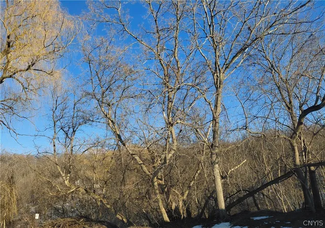 1st image of 207 Worden Ave, Nedrow, NY 13120 | MLS# S1667532