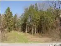 Photo 1 of Land for sale at 0 Nelson Rd, Canastota, NY 13032 | MLS# S1667844 | Listing updated on 2026-04-27