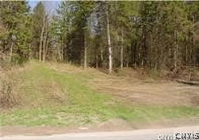 3rd image of 0 Nelson Rd, Canastota, NY 13032 | MLS# S1667844