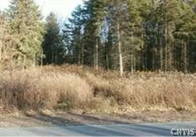 4th image of 0 Nelson Rd, Canastota, NY 13032 | MLS# S1667844
