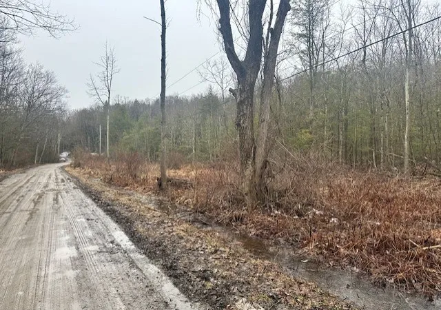 1st image of 0 Spring Rd S, Dansville, NY 14437 | MLS# R1667968