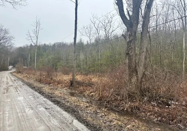 3rd image of 0 Spring Rd S, Dansville, NY 14437 | MLS# R1667968