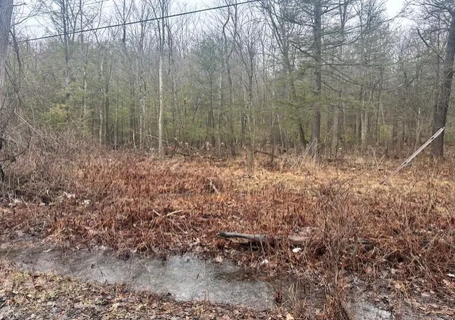 2nd image of 0 Spring Rd S, Dansville, NY 14437 | MLS# R1667967
