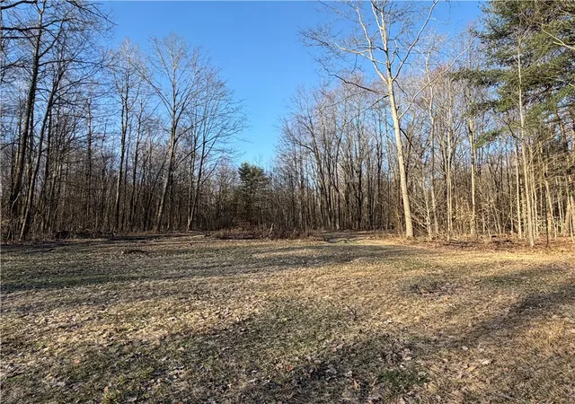 Homes for sale in Clarksville, NY | 2680 Apple Tree Rd, Clarksville, NY 14715 | MLS# R1664222