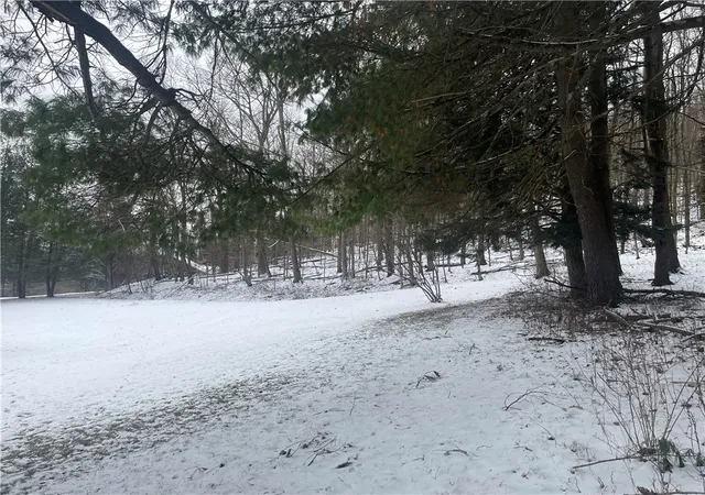 40th image of 9 Mount Pleasant Dr, Bainbridge, NY 13733 | MLS# R1665501