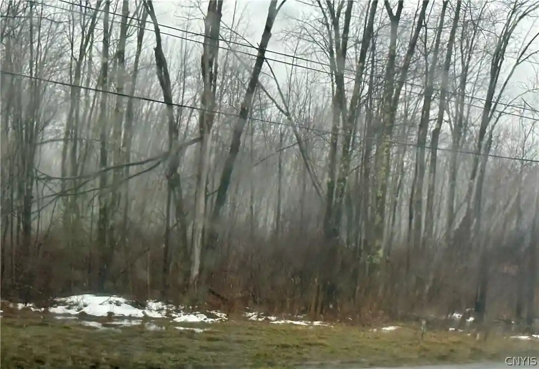 Land for sale at Route 13 N, Vienna, NY 13308 | MLS# S1668019