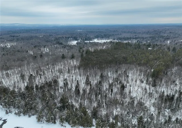 Homes for sale in Remsen, NY | Lot #2 Roberts Rd, Remsen, NY 13438 | MLS# S1666539