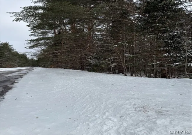 Homes for sale in Remsen, NY | Lot #2 Roberts Rd, Remsen, NY 13438 | MLS# S1666539