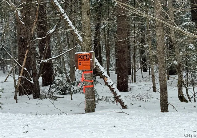 Homes for sale in Remsen, NY | Lot #2 Roberts Rd, Remsen, NY 13438 | MLS# S1666539