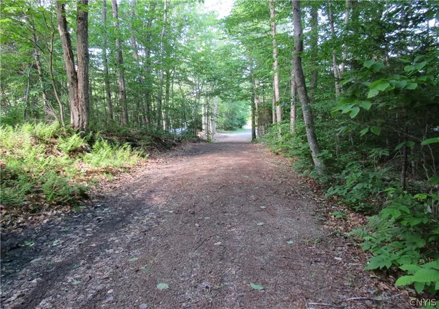 Homes for sale in Webb, NY | (Undisclosed), Webb, NY 13420 | MLS# S1668209