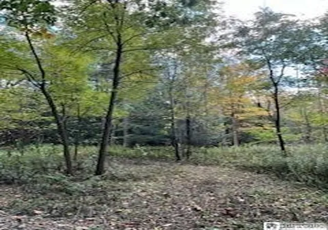 2nd image of 2552 Butts Rd, North Harmony, NY 14710 | MLS# R1668214