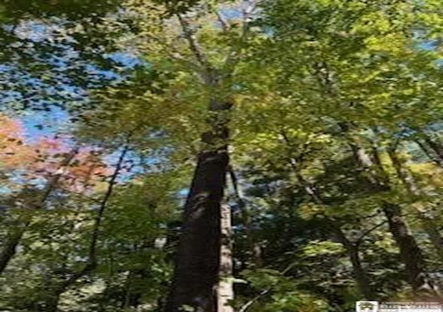 3rd image of 2552 Butts Rd, North Harmony, NY 14710 | MLS# R1668214