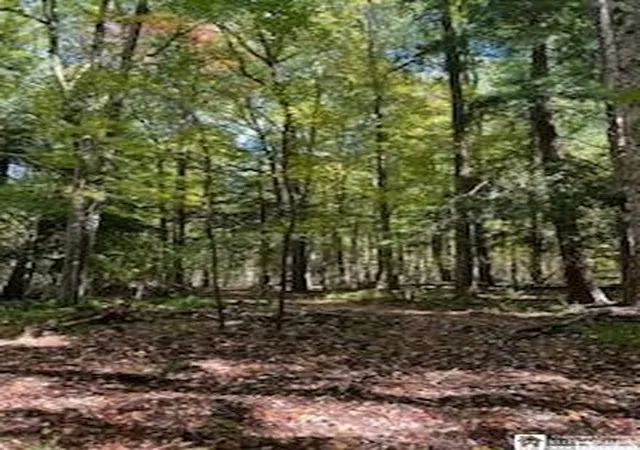 4th image of 2552 Butts Rd, North Harmony, NY 14710 | MLS# R1668214