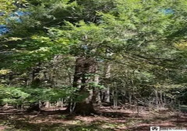 5th image of 2552 Butts Rd, North Harmony, NY 14710 | MLS# R1668214