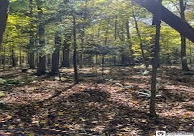 6th image of 2552 Butts Rd, North Harmony, NY 14710 | MLS# R1668214