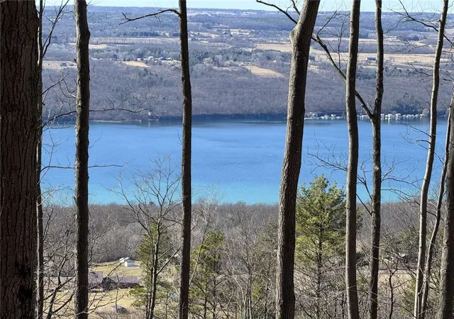 Homes for sale in Hector, NY | 0 Satterly Hill Rd, Hector, NY 14818 | MLS# R1668439