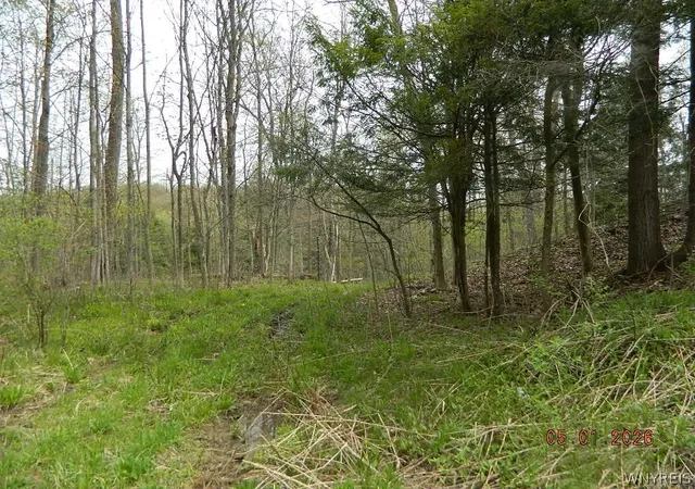 1st image of Olean Rd, Holland, NY 14080 | MLS# B1668627