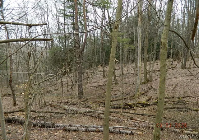 28th image of Olean Rd, Holland, NY 14080 | MLS# B1668627