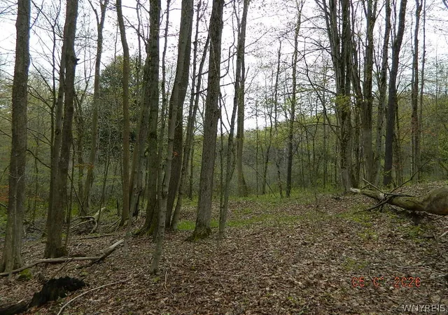 2nd image of Olean Rd, Holland, NY 14080 | MLS# B1668627