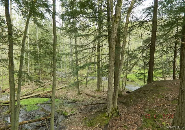3rd image of Olean Rd, Holland, NY 14080 | MLS# B1668627