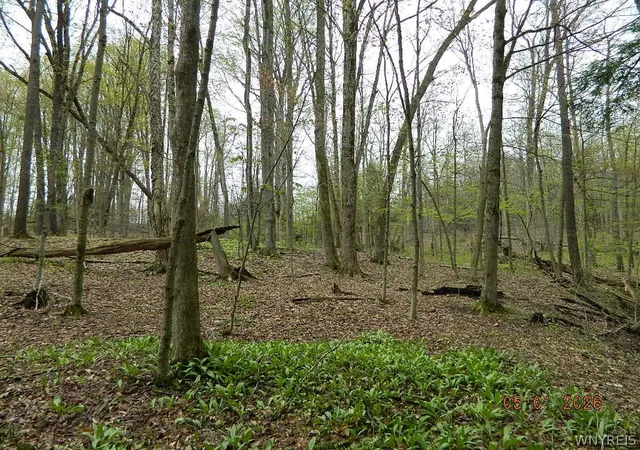 5th image of Olean Rd, Holland, NY 14080 | MLS# B1668627