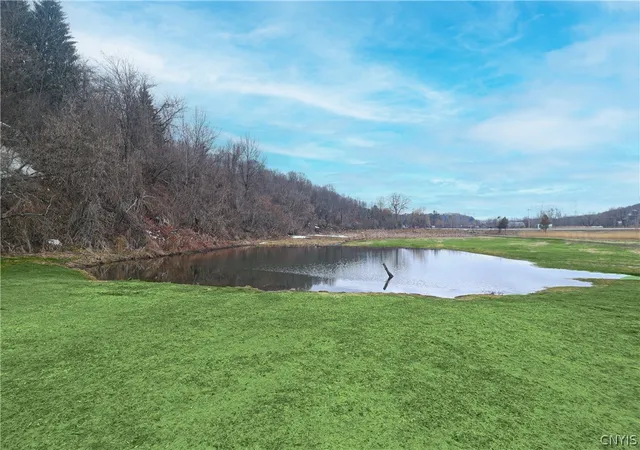 50th image of 3391 State Route 28, Herkimer, NY 13350 | MLS# S1666896