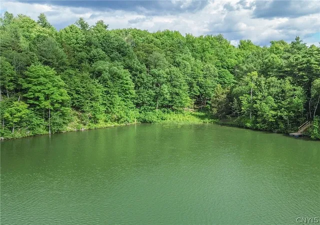 Homes for sale in Antwerp, NY | 36349 Co Rte 22, Antwerp, NY 13608 | MLS# S1668648