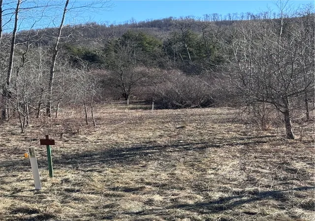 Photo 12 of Land for sale at Rt 46, Keating Town, PA 16749 | MLS# R1666007 | Listing updated on 2026-08-01