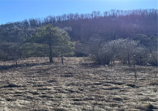 Photo 2 of Land for sale at Rt 46, Keating Town, PA 16749 | MLS# R1666007 | Listing updated on 2026-08-01