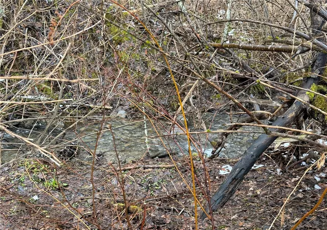 3rd image of 0 Co Hwy 16, Burlington, NY 13315 | MLS# R1668658