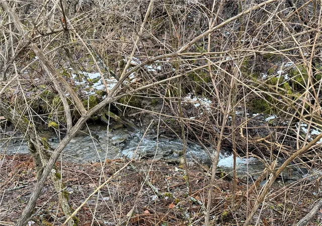 4th image of 0 Co Hwy 16, Burlington, NY 13315 | MLS# R1668658