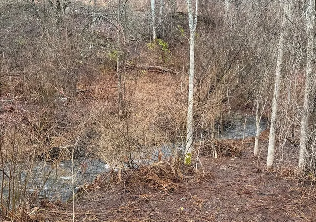 5th image of 0 Co Hwy 16, Burlington, NY 13315 | MLS# R1668658