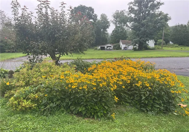 Photo 37 of Sale Pending at 50 Depot St, Downsville, NY 13755 | MLS# R1666352 | Listing updated on 2026-07-08