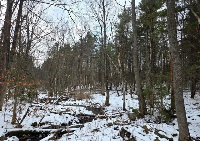 Homes for sale in Orangeville, NY | Syler Rd, Orangeville, NY 14569 | MLS# S1669037