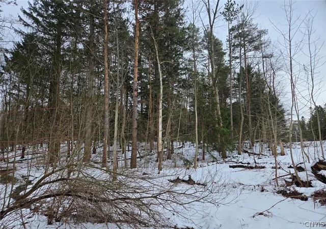 Homes for sale in Orangeville, NY | Syler Rd, Orangeville, NY 14569 | MLS# S1669037