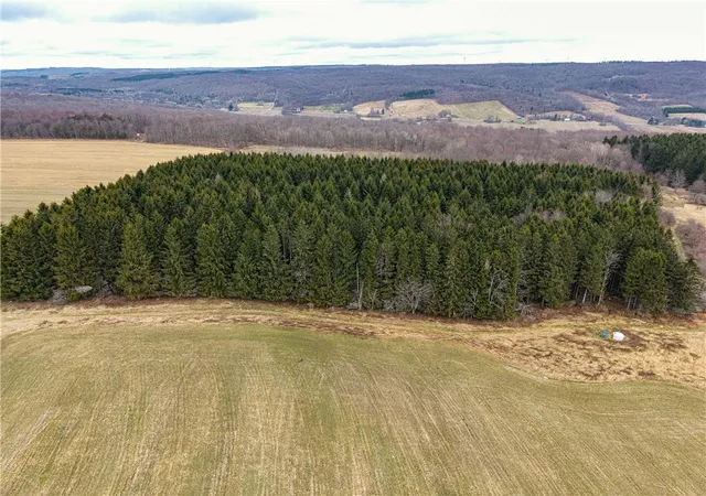 3rd image of Engdahl Road, Charlotte, NY 14723 | MLS# R1668288