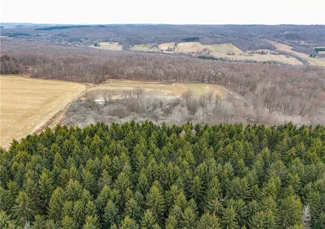 4th image of Engdahl Road, Charlotte, NY 14723 | MLS# R1668288