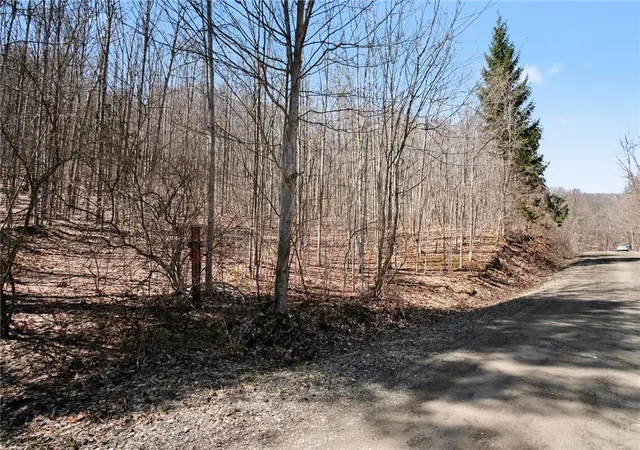 2nd image of 7420 Feather St, Naples, NY 14512 | MLS# R1669097