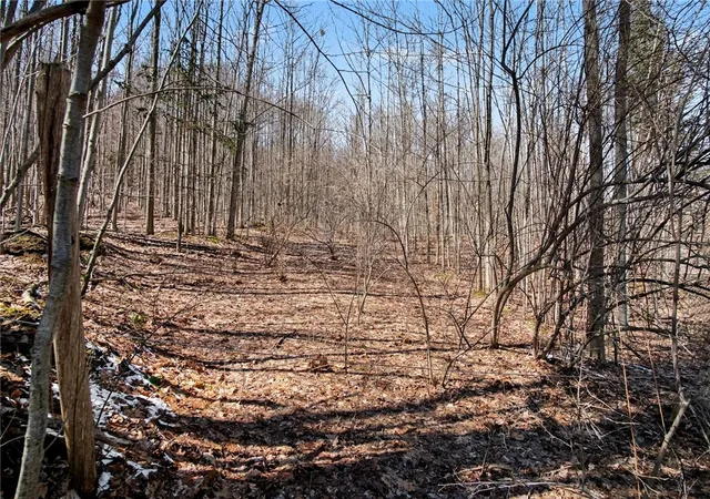 4th image of 7420 Feather St, Naples, NY 14512 | MLS# R1669097