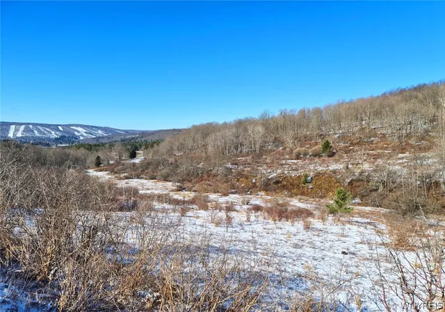 Photo 1 of Land for sale at 6801 Horn Hl Rd, Ellicottville, NY 14731 | MLS# B1668425 | Listing updated on 2026-06-01
