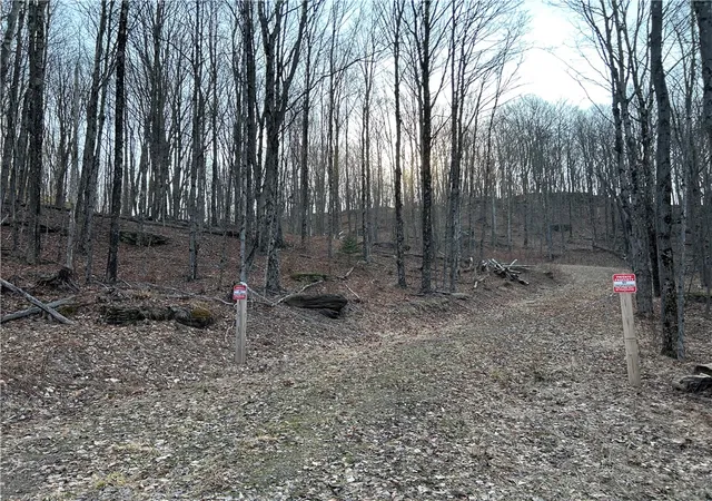Homes for sale in Delhi, NY | Huska Road, Delhi, NY 13753 | MLS# R1668881