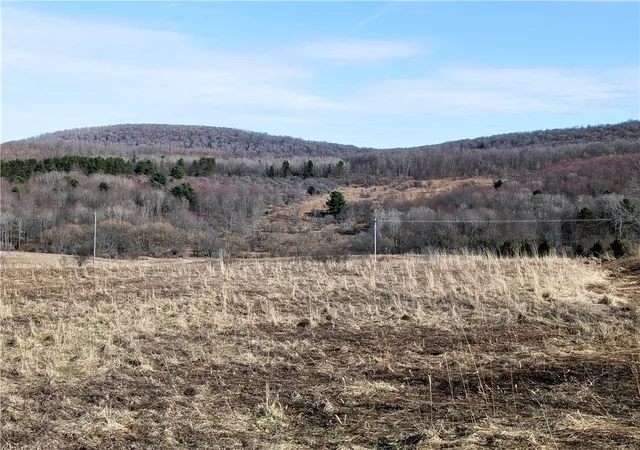 Photo 2 of Land for sale at 1525 Beaver Hl Rd, Wellsville, NY 14895 | MLS# R1669213 | Listing updated on 2026-07-24