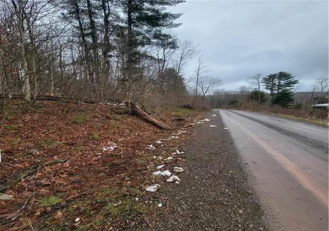 1st image of 0 Schlafer Rd, Guilford, NY 13780 | MLS# R1669058